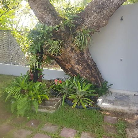 Always Summer Inn Isla Culebra Bagian luar foto