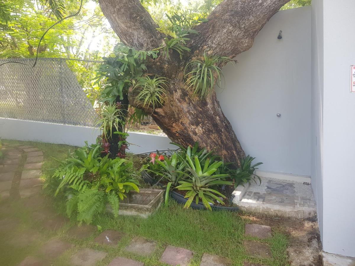 Always Summer Inn Isla Culebra Bagian luar foto