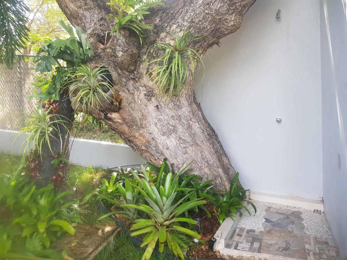 Always Summer Inn Isla Culebra Bagian luar foto